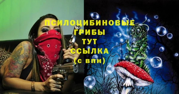 кристаллы Гусев