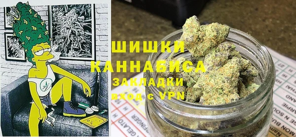 гидра Горнозаводск