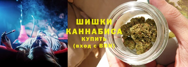 гидра Горнозаводск